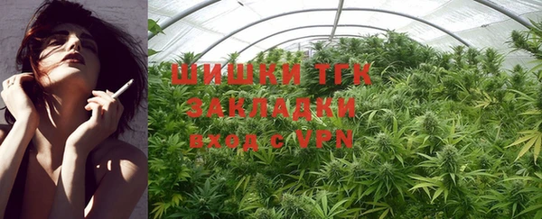 спиды Абаза