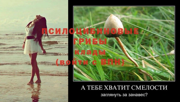 jwh Алексин