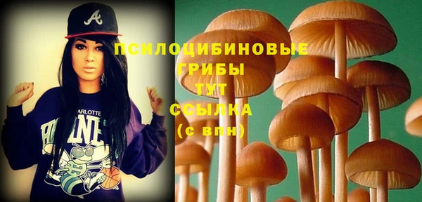 сатива Алзамай
