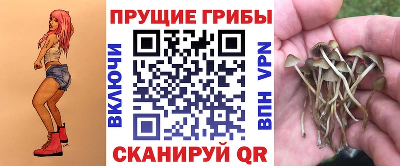 Галлюциногенные грибы прущие грибы  Челябинск 