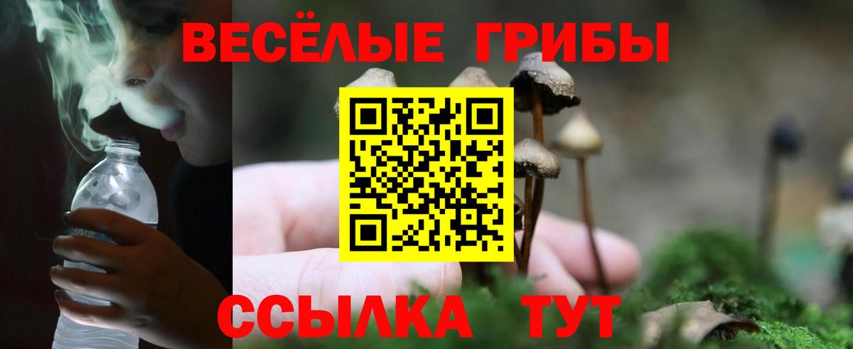 Галлюциногенные грибы MAGIC MUSHROOMS  Псилоцибиновые грибы Magic Shrooms  Челябинск  Вход с VPN 